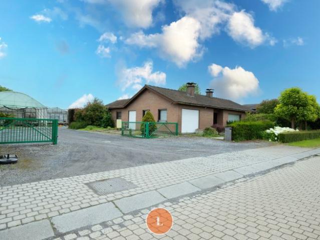 Alleenstaande gelijkvloerse woning met serres en loods op.