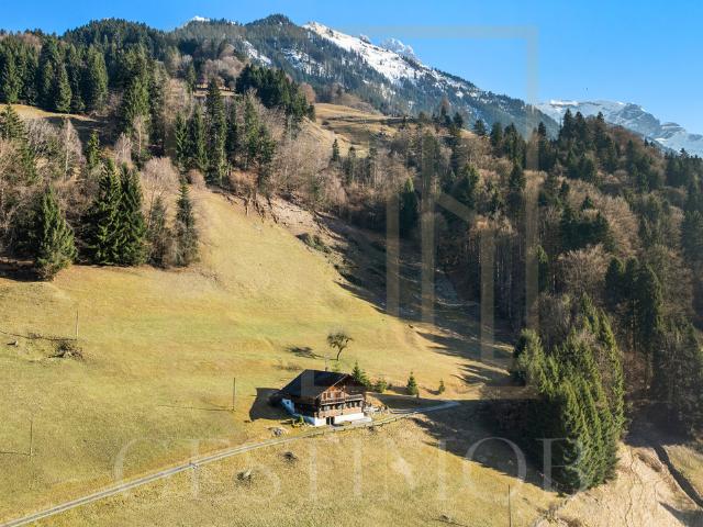 Alleinauftragnehmer: Prächtiges, authentisches Chalet mit Potenzial