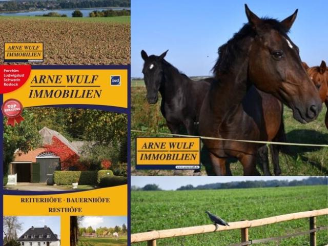 ALLEINLAGE das Paradies für Pferdeliebhaber nahe Schwerin!