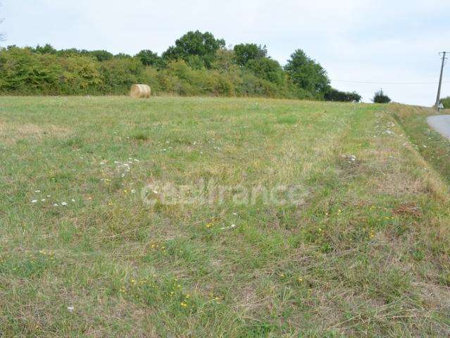 Alligny Cosne Vente Terrain 58