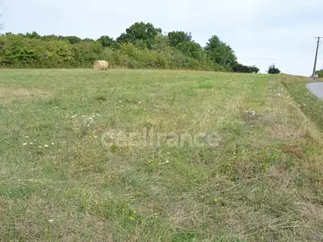 Alligny Cosne 58200 Achat / Vente terrain