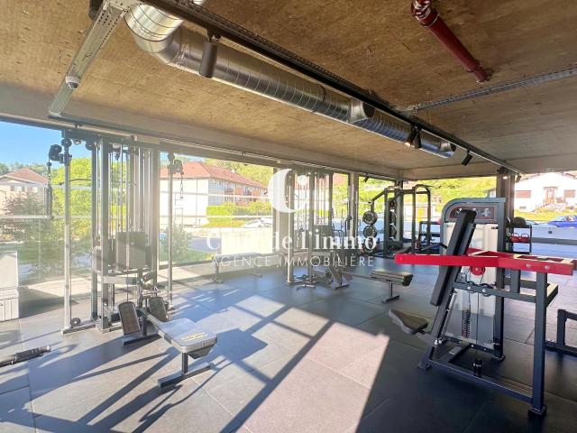 ALLONZIER LA CAILLE MURS COMMERCIAUX 235 m2 TOUTES ACTIVITÉS A VENDRE