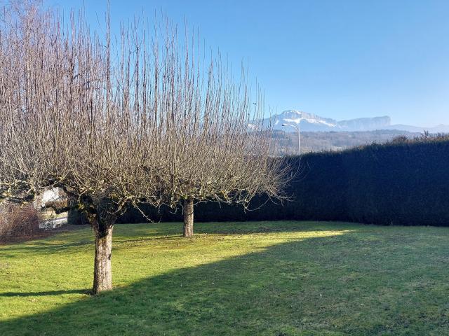 Allonzier la Caille Vente Terrain 74