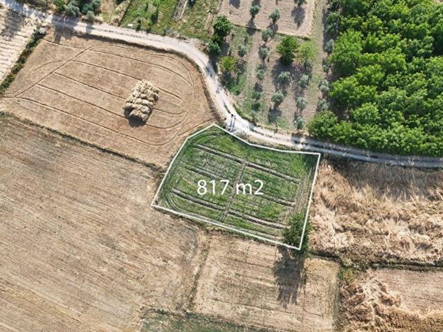 ALPARSLAN MAHALLESİNDE SATILIK FIRSAT 817 M2 TARLA