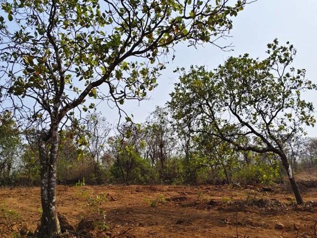 Alpha 1, Greater Noida West 860 Sq. Ft. Plot in Alpha 1 Greater Noida Listing ID: #10254