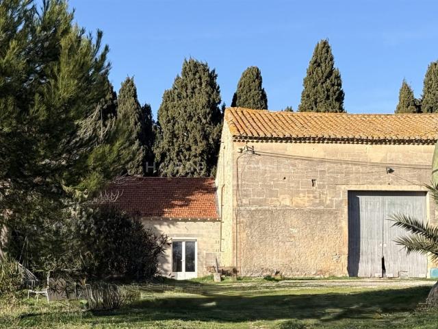 Alpilles Domaine 6,6 hectares avec deux logements 217m² Fontvieille