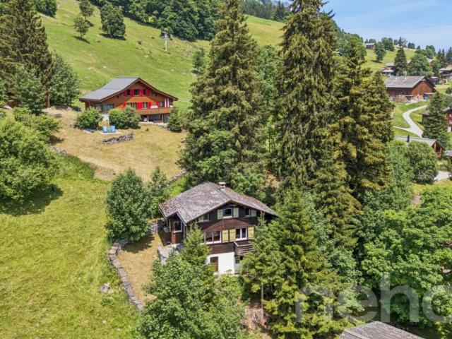 Alpines Chalet mit Einliegerwohnung und traumhafter Bergsicht