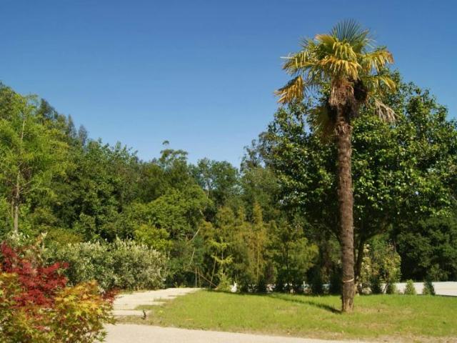 Alquiler 4 Dormitorio Casa Pontedeume Pontedeume DS102630176
