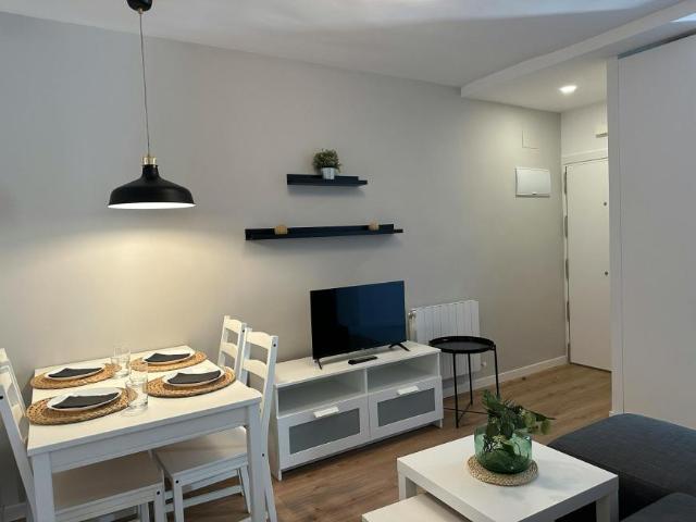 Alquiler 4 Dormitorio Apartamentos Madrid Madrid DS100721124