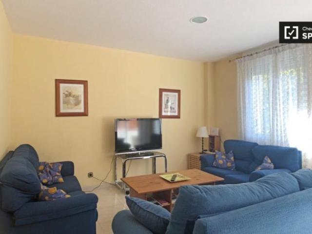 Alquiler 4 Dormitorio Apartamentos Madrid Madrid DS101809442
