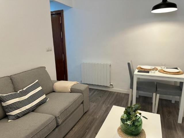 Alquiler 4 Dormitorio Apartamentos Madrid Madrid DS101843479