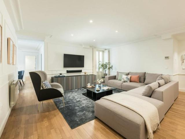 Alquiler 4 Dormitorio Apartamentos Madrid Madrid DS102367423