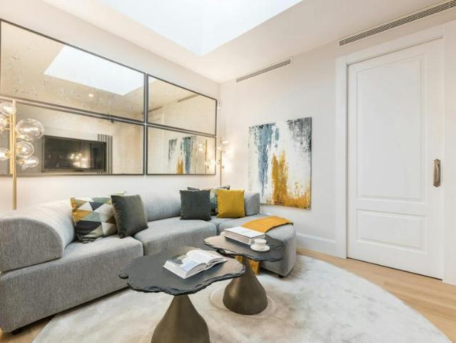 Alquiler 4 Dormitorio Apartamentos Madrid Madrid DS103959858