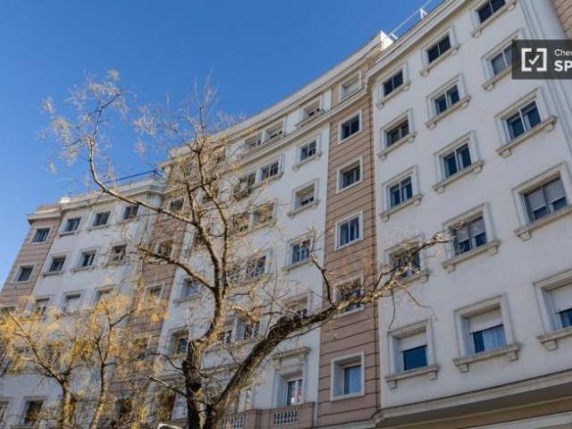 Alquiler 4 Dormitorio Apartamentos Madrid Madrid DS103094187
