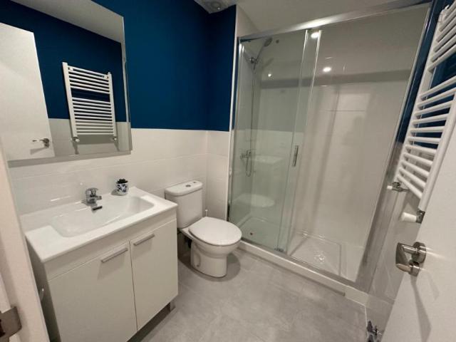 Alquiler 4 Dormitorio Apartamentos Madrid Madrid DS103268841