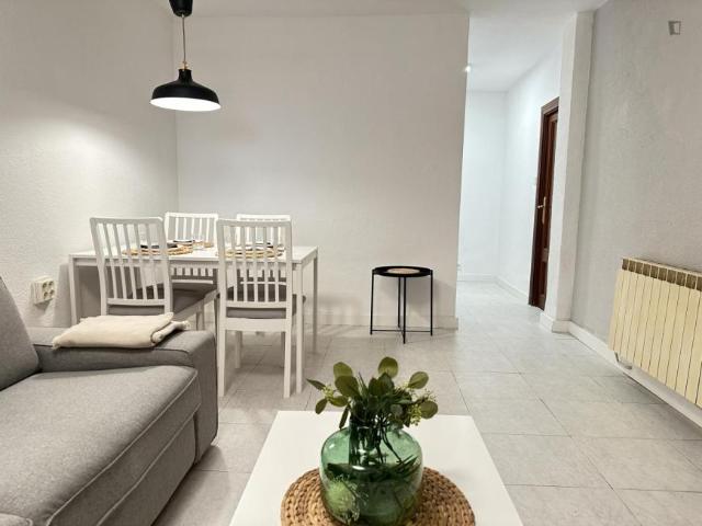 Alquiler 4 Dormitorio Apartamentos Madrid Madrid DS103268936