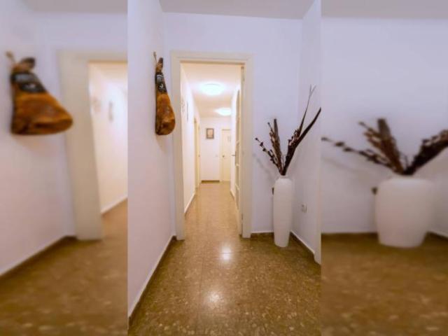 Alquiler 4 Dormitorio Apartamentos Malaga Malaga DLS102886440