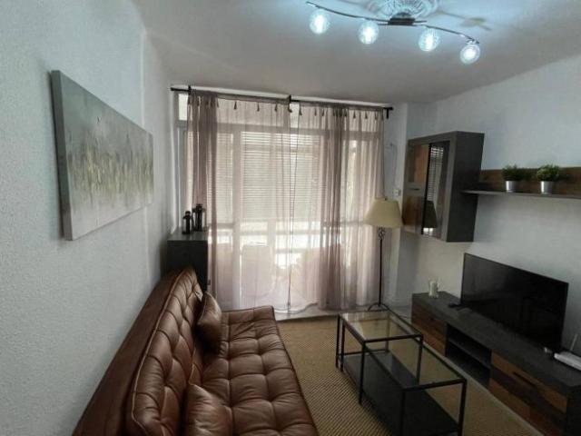 Alquiler 4 Dormitorio Apartamentos Malaga Malaga DS97133482
