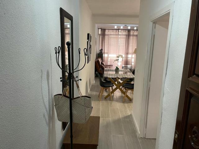 Alquiler 4 Dormitorio Apartamentos Málaga Málaga DS102849538