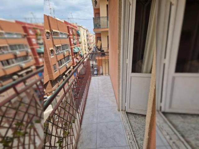 Alquiler 4 Dormitorio Apartamentos Alicante Alicante DS101545490