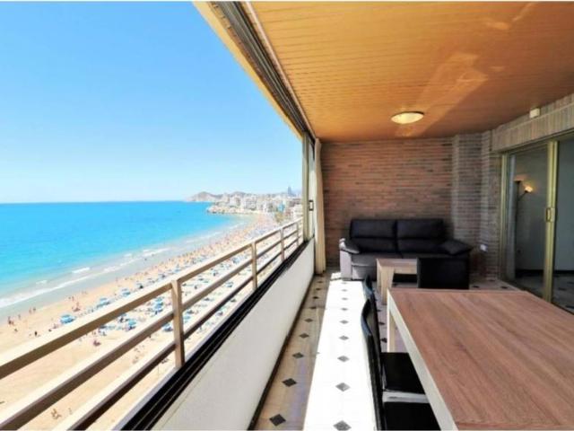 Alquiler 4 Dormitorio Apartamentos Alicante Communidad Valencia DS101376653