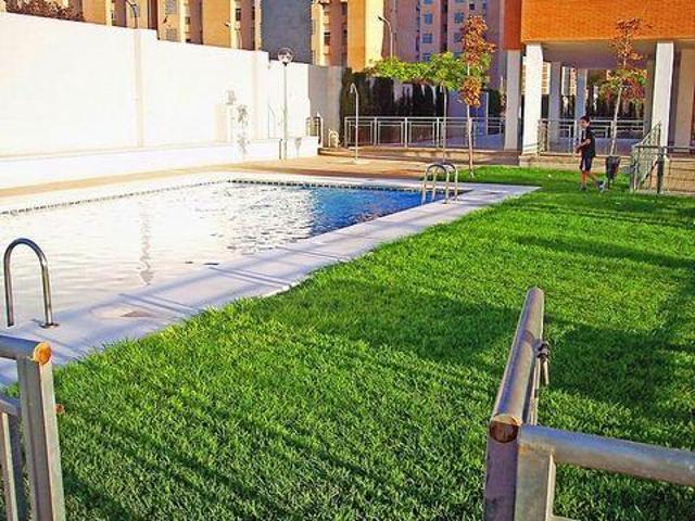Alquiler 4 Dormitorio Apartamentos Alicante Comunidad Valenciana DS98303254