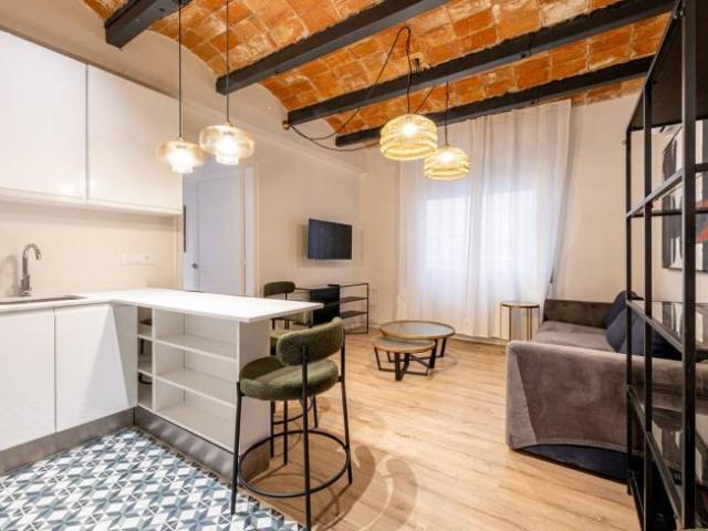 Alquiler 4 Dormitorio Apartamentos Barcelona Barcelona DS101785932