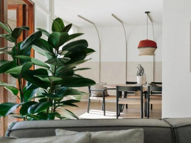 Alquiler 4 Dormitorio Apartamentos Barcelona Barcelona DS102402305
