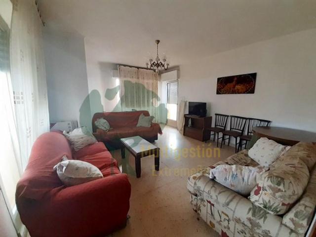 Alquiler 4 Dormitorio Apartamentos Cáceres Cáceres DS102320533
