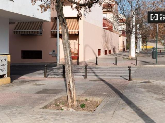 Alquiler 4 Dormitorio Apartamentos Granada Granada DLS101670819