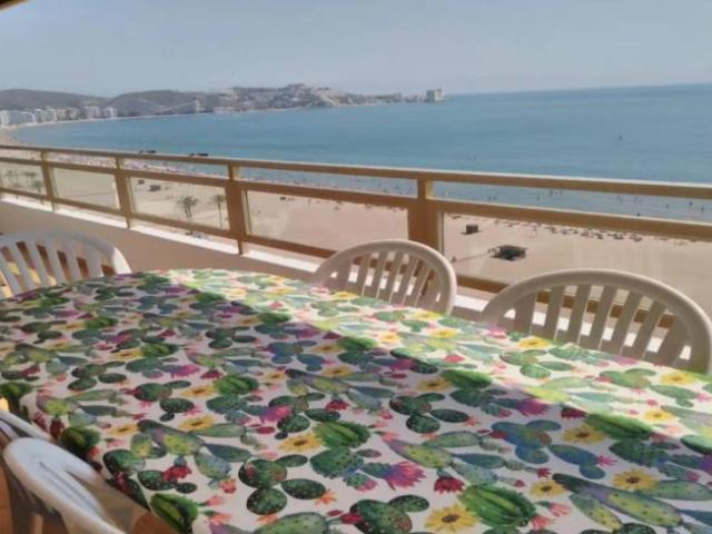 Alquiler 4 Dormitorio Apartamentos Valencia Valencia DS97974658