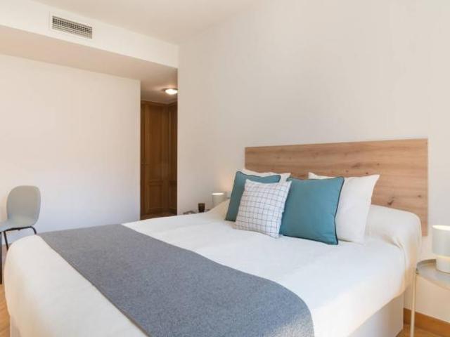 Alquiler 4 Dormitorio Shared Living/Roommate Madrid Madrid DS92151360