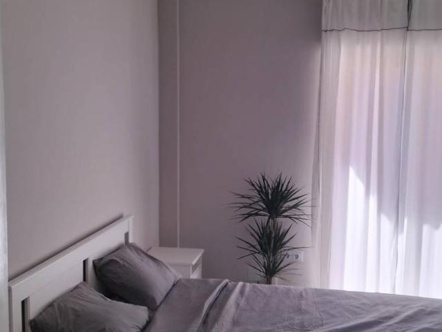 Alquiler 4 Dormitorio Shared Living/Roommate Alicante Alicante DS101671772