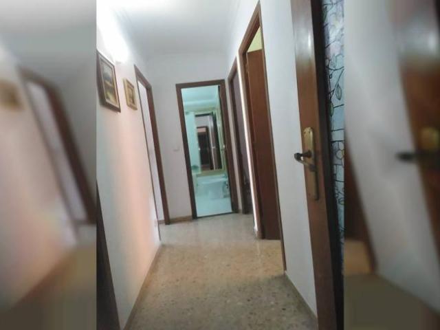 Alquiler 4 Dormitorio Shared Living/Roommate Alicante Alicante DS101771400