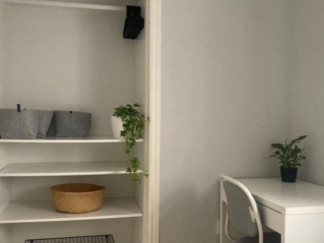 Alquiler 4 Dormitorio Shared Living/Roommate Alicante Alicante DS101814482