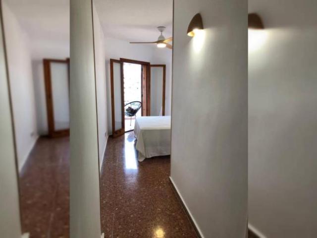 Alquiler 4 Dormitorio Shared Living/Roommate Alicante Alicante DS101819232