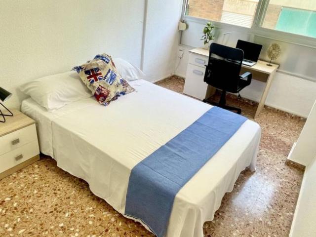 Alquiler 4 Dormitorio Shared Living/Roommate Alicante Alicante DS101810816