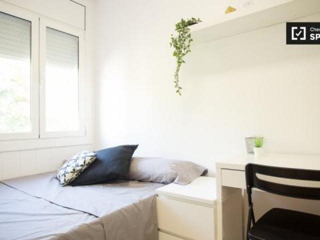 Alquiler 4 Dormitorio Shared Living/Roommate Barcelona Barcelona DLS80280296
