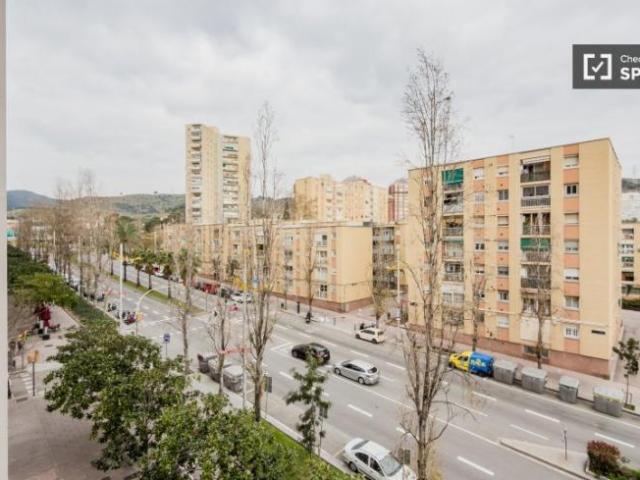 Alquiler 4 Dormitorio Shared Living/Roommate Barcelona Barcelona DS99761488