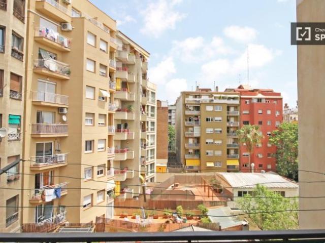 Alquiler 4 Dormitorio Shared Living/Roommate Barcelona Barcelona DS101771195