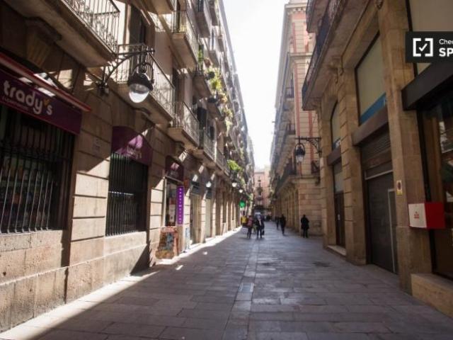 Alquiler 4 Dormitorio Shared Living/Roommate Barcelona Barcelona DS101810471