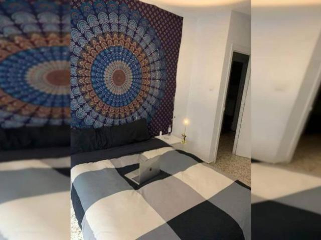 Alquiler 4 Dormitorio Shared Living/Roommate Granada Granada DS98343047