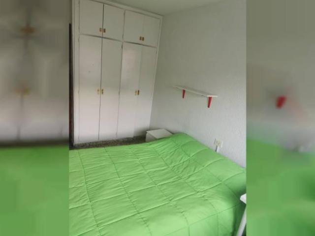 Alquiler 4 Dormitorio Shared Living/Roommate Granada Granada DS98364859