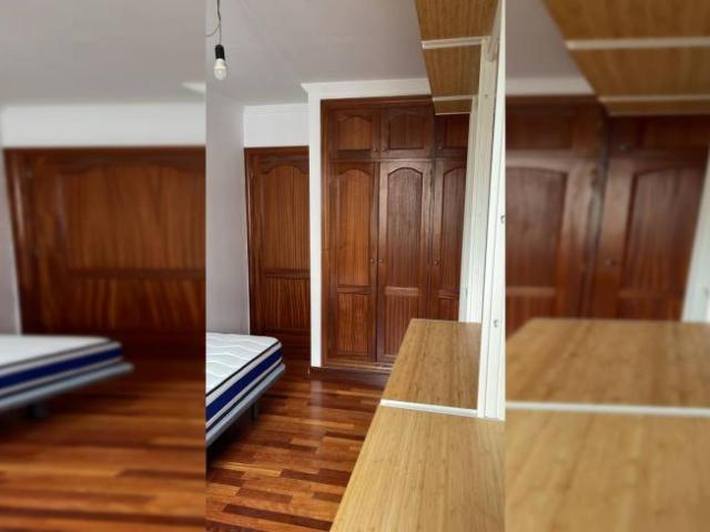 Alquiler 4 Dormitorio Shared Living/Roommate Las Palmas De Gran Canaria Las Palmas De Gran Canaria DS103925477