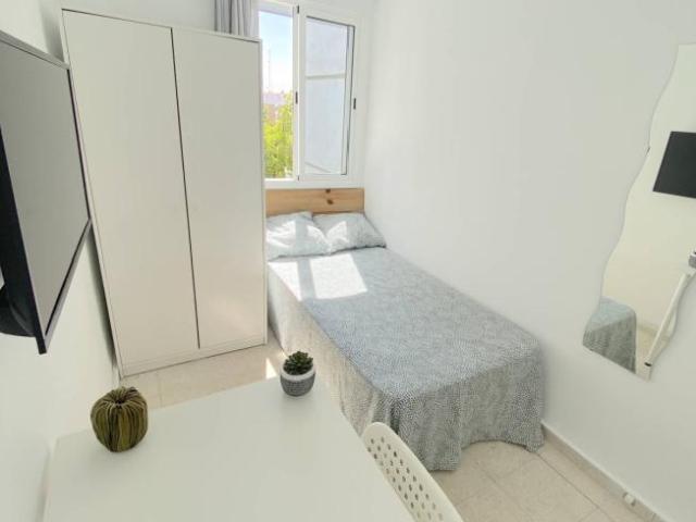 Alquiler 4 Dormitorio Shared Living/Roommate Seville Seville DLS100813461