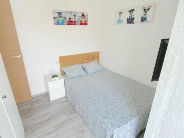 Alquiler 4 Dormitorio Shared Living/Roommate Seville Seville DLS101020815