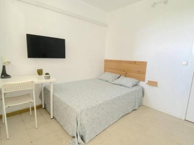 Alquiler 4 Dormitorio Shared Living/Roommate Seville Seville DS100813379