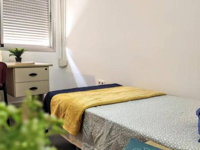 Alquiler 4 Dormitorio Shared Living/Roommate Valencia Valencia DS67088584