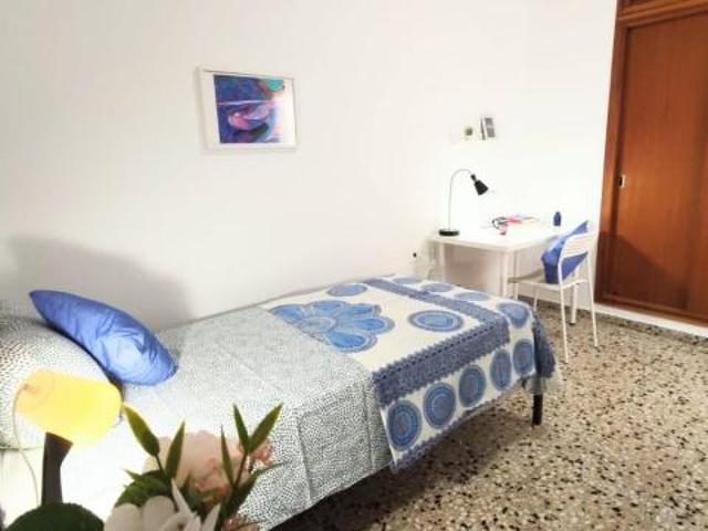 Alquiler 4 Dormitorio Shared Living/Roommate Valencia Valencia DS79282851