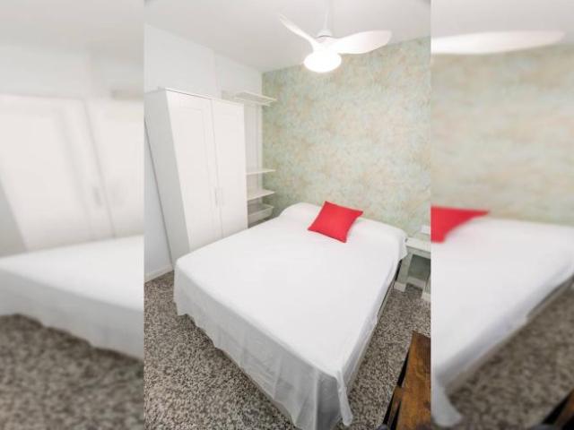 Alquiler 4 Dormitorio Shared Living/Roommate Valencia Valencia DS98057588